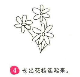 滿天星簡筆畫畫法步驟04