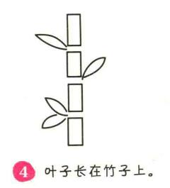 竹子簡(jiǎn)筆畫畫法步驟04