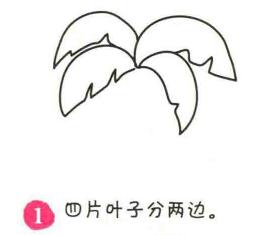 椰子樹簡筆畫畫法步驟01