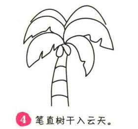 椰子樹簡筆畫畫法步驟04