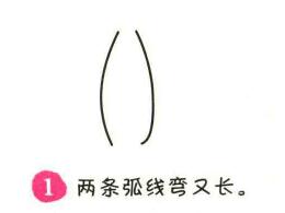 瓶樹簡(jiǎn)筆畫畫法步驟01