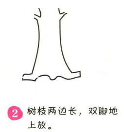 銀杏樹簡(jiǎn)筆畫畫法步驟02