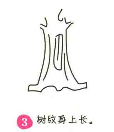 銀杏樹簡(jiǎn)筆畫畫法步驟03