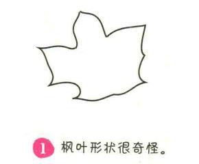 楓葉簡(jiǎn)筆畫畫法步驟01