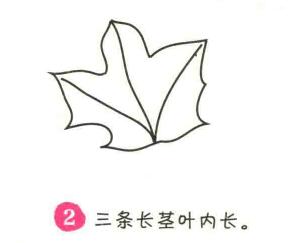 楓葉簡(jiǎn)筆畫畫法步驟02