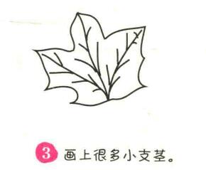楓葉簡(jiǎn)筆畫畫法步驟03