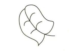 樹(shù)葉簡(jiǎn)筆畫（一）