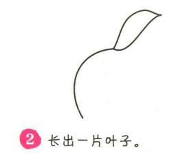 樹葉簡(jiǎn)筆畫畫法步驟02