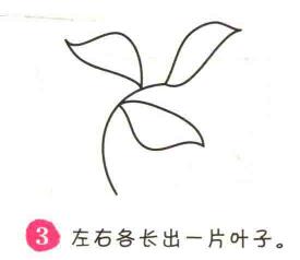樹葉簡(jiǎn)筆畫畫法步驟03