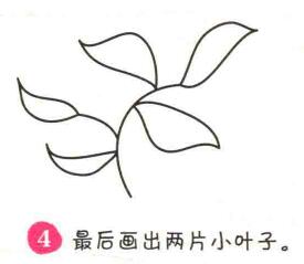 樹葉簡(jiǎn)筆畫畫法步驟04