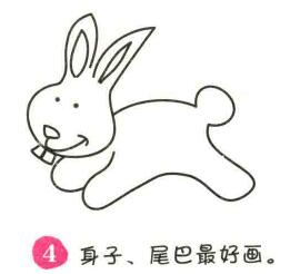 兔子簡筆畫畫法步驟04