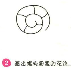 蝸牛簡(jiǎn)筆畫(huà)畫(huà)法步驟02