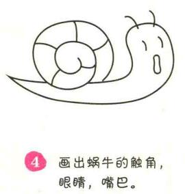 蝸牛簡(jiǎn)筆畫(huà)畫(huà)法步驟04