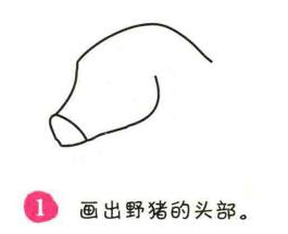 野豬簡(jiǎn)筆畫(huà)畫(huà)法步驟01