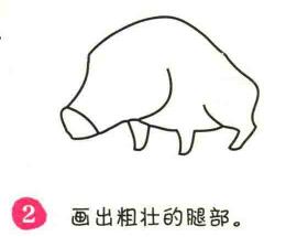 野豬簡(jiǎn)筆畫(huà)畫(huà)法步驟02