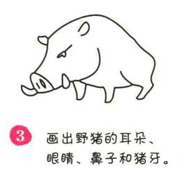 野豬簡(jiǎn)筆畫(huà)畫(huà)法步驟03