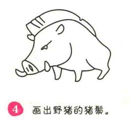 野豬簡(jiǎn)筆畫(huà)畫(huà)法步驟04