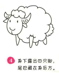 小羊簡筆畫畫法步驟04