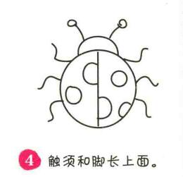 瓢蟲簡筆畫畫法步驟04