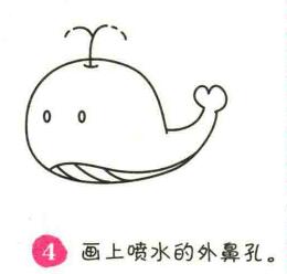 鯨魚簡(jiǎn)筆畫畫法步驟04