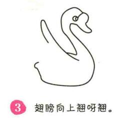 天鵝簡筆畫畫法步驟03