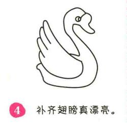 天鵝簡筆畫畫法步驟04
