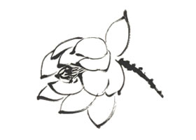 荷花花朵的畫法（國(guó)畫荷花用墨勾勒法）