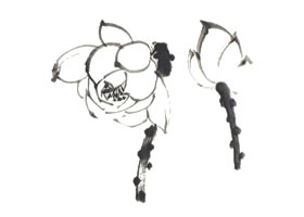 國(guó)畫荷花花苞與小葉的畫法