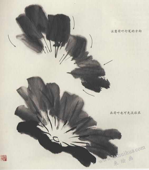 國(guó)畫(huà)荷花荷葉的畫(huà)法（墨畫(huà)法）