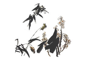 國(guó)畫荷花雜草的畫法