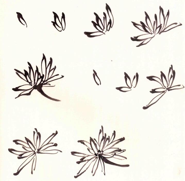 攢頂細(xì)瓣菊花頭畫法