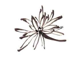 攢頂細(xì)瓣菊花頭畫法