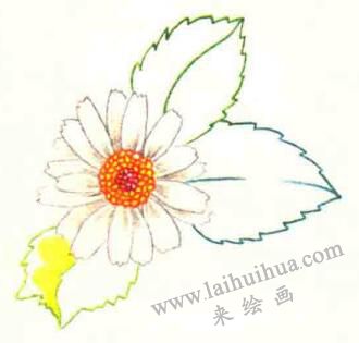 雛菊色鉛筆簡(jiǎn)筆畫畫法步驟04