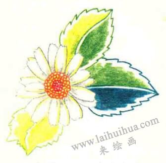 雛菊色鉛筆簡(jiǎn)筆畫畫法步驟06