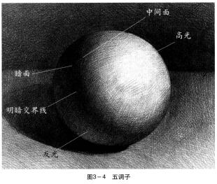 素描作畫法則之五調子
