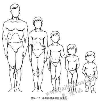 各年齡段身體比例變化