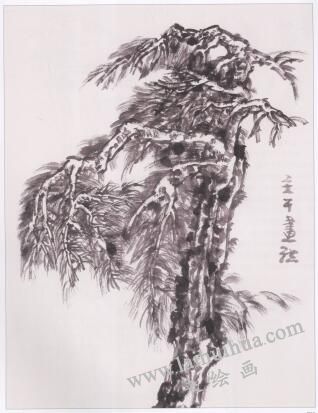 中國(guó)畫松樹主干的畫法05