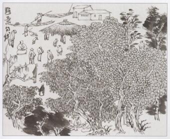 青綠山水基礎(chǔ)畫法：點(diǎn)景