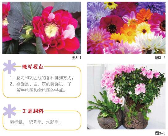 奇異花草兒童畫創(chuàng)作步驟