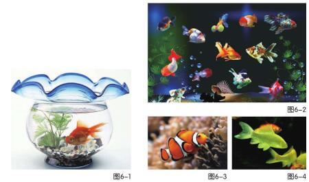 漂亮的魚缸兒童繪畫步驟01,02,03,04