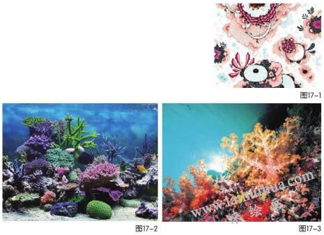 夢幻珊瑚海兒童繪畫步驟01,02,03