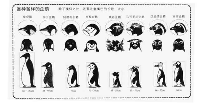 各種企鵝姿勢的卡通畫法