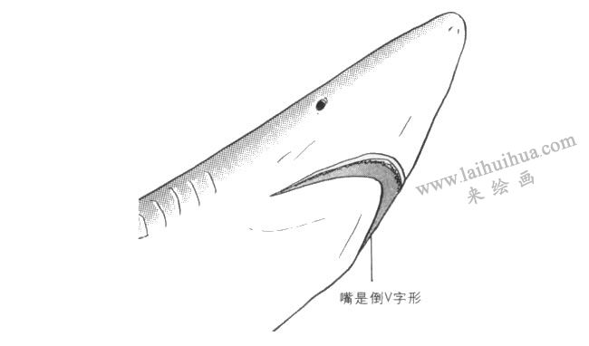 鯊魚的嘴卡通畫法