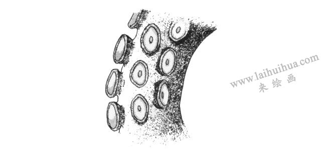 章魚(yú)吸盤(pán)卡通畫(huà)法