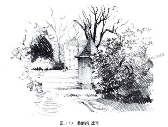 姜麗娟 動植物風景速寫