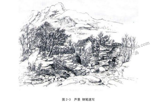 蘆景  鋼筆風(fēng)景速寫