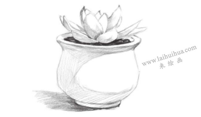 窗臺(tái)上的多肉植物素描畫法步驟06