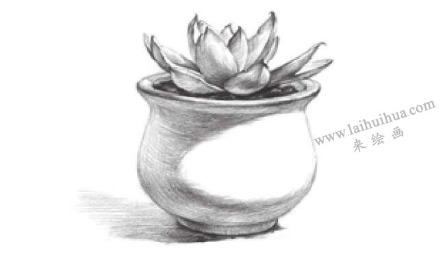 窗臺(tái)上的多肉植物素描畫法步驟08
