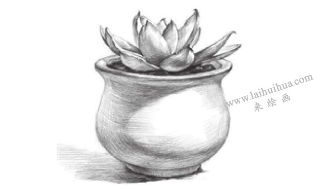 窗臺(tái)上的多肉植物素描畫法步驟09