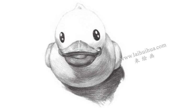 小黃鴨素描畫法步驟08